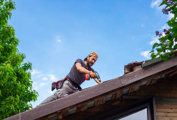 Best Green or Eco-Friendly Roofing Solutions  in Waimalu, HI