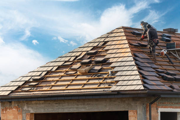 Best Roof Moss and Algae Removal  in Waimalu, HI