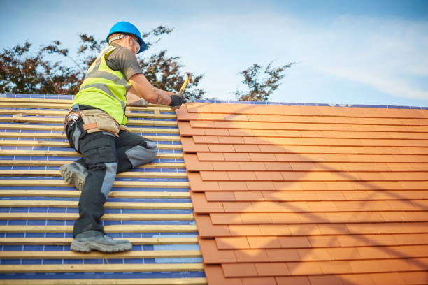 Best Roof Moss and Algae Removal  in Waimalu, HI